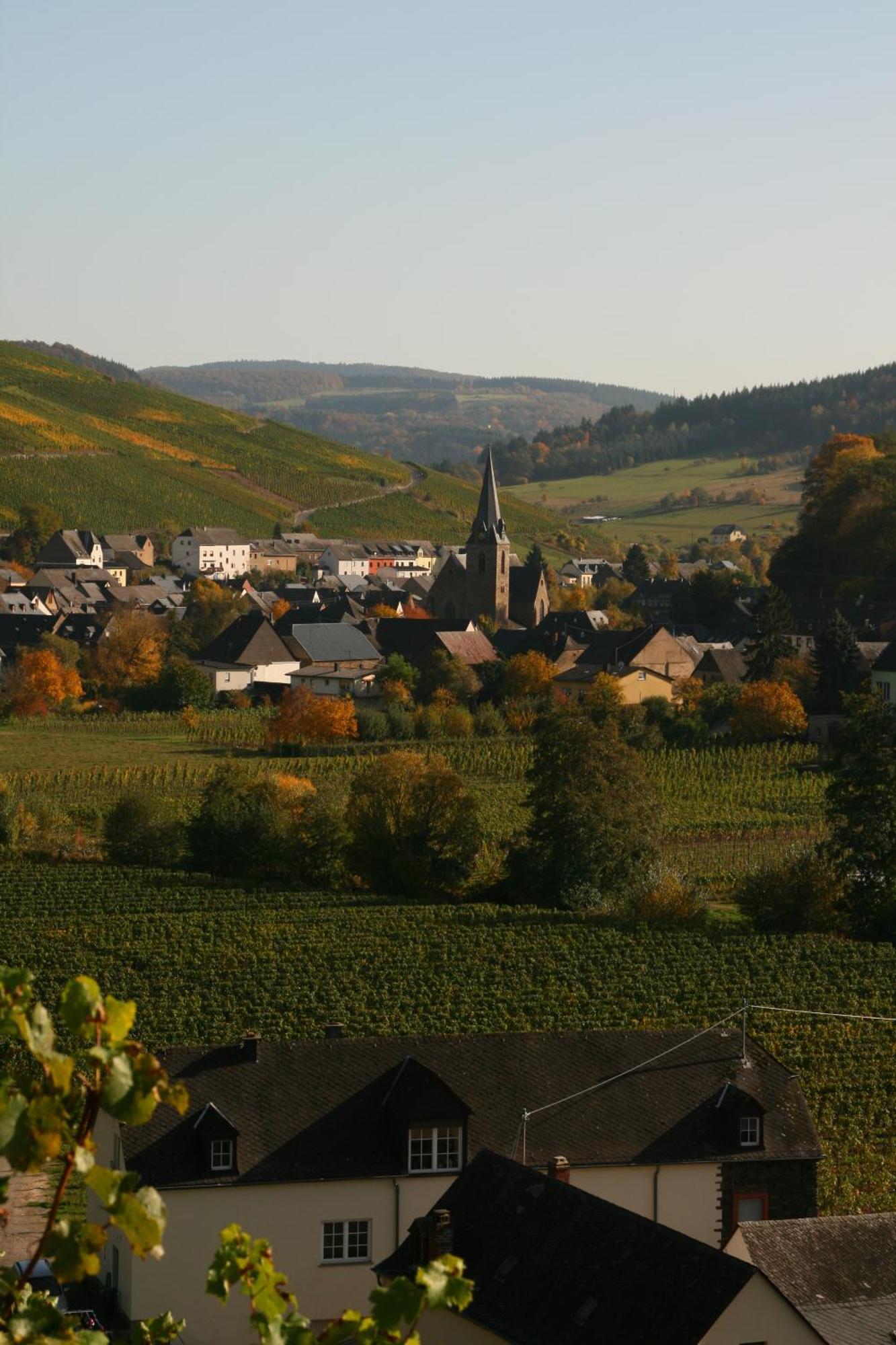 Weingut & Gaestehaus Stephan Kohl Neumagen-Dhron Exteriör bild